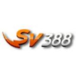 sv388 stone