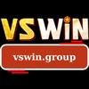 vswin group