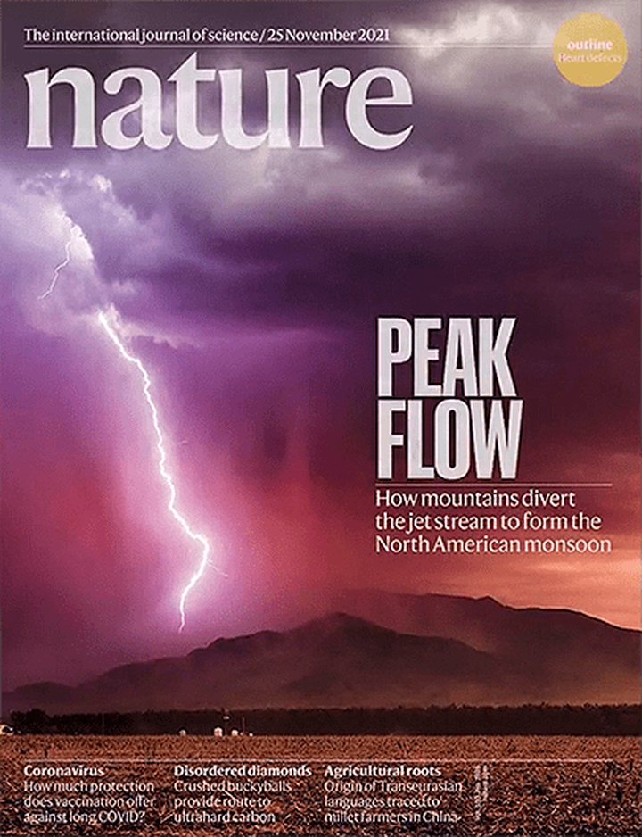 SciNat за ноябрь 2021 #4: нейроны, пипетки и стволовые клетки