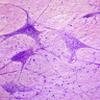 BiO_SeMan