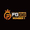 Fg66 io