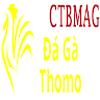 Đá Gà Trực Tiếp Thomo