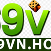 69vn