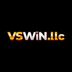 VSWin LLC