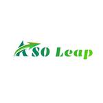 ASOLeap
