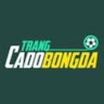 Trangcadobongda7777 Org