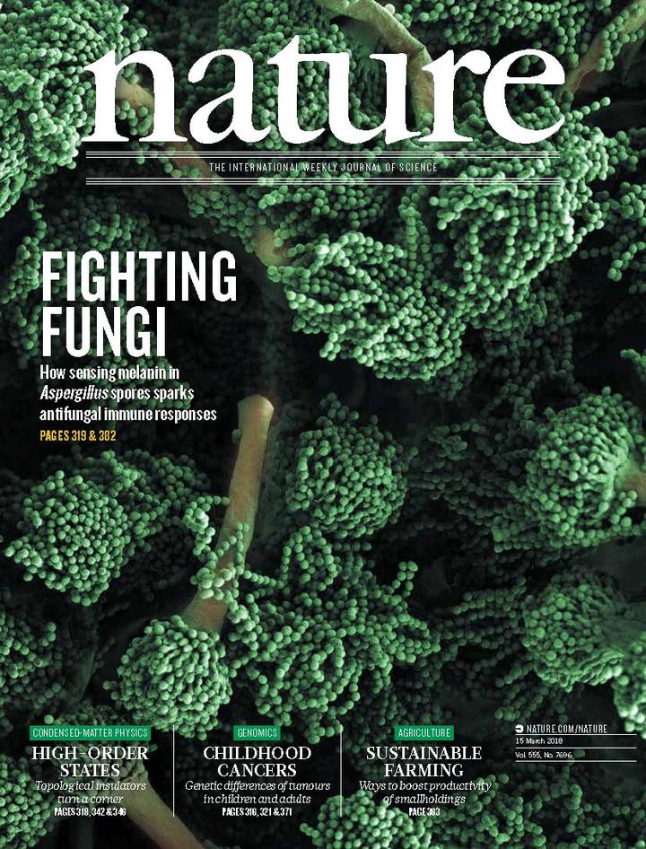 SciNat за март 2018 #3: вулканические хроники, логика младенцев и эмбриональные нокауты