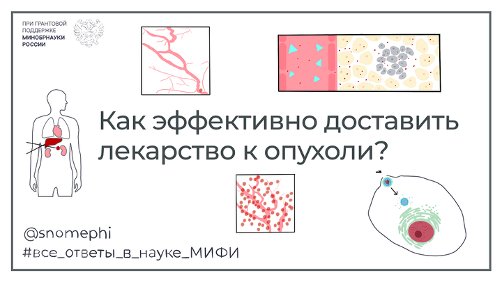 Как эффективно доставить лекарство к опухоли?