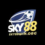 SKY 88