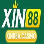 XIN88