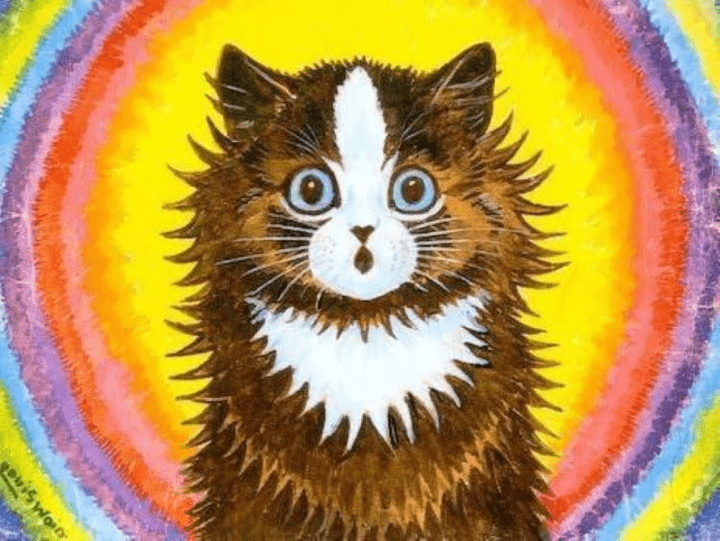 Генетические заболевания породистых кошек