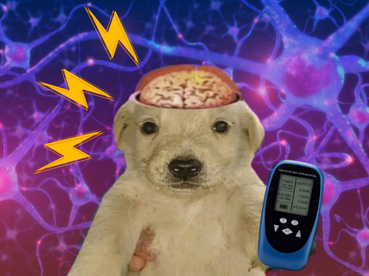 Инструкция к перезагрузке мозга: неинвазивная нейромодуляция для лечения резистентной депрессии