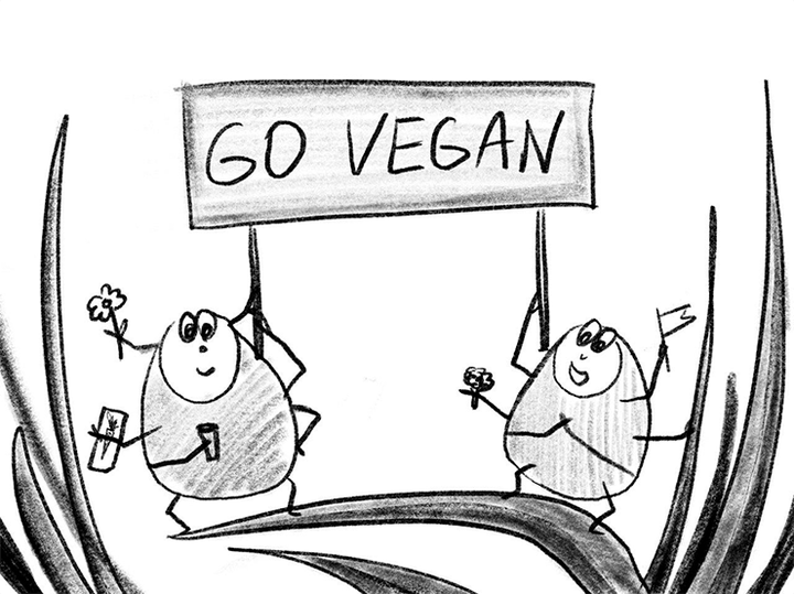 Что такое альфа-гал и с чем его (не) едят