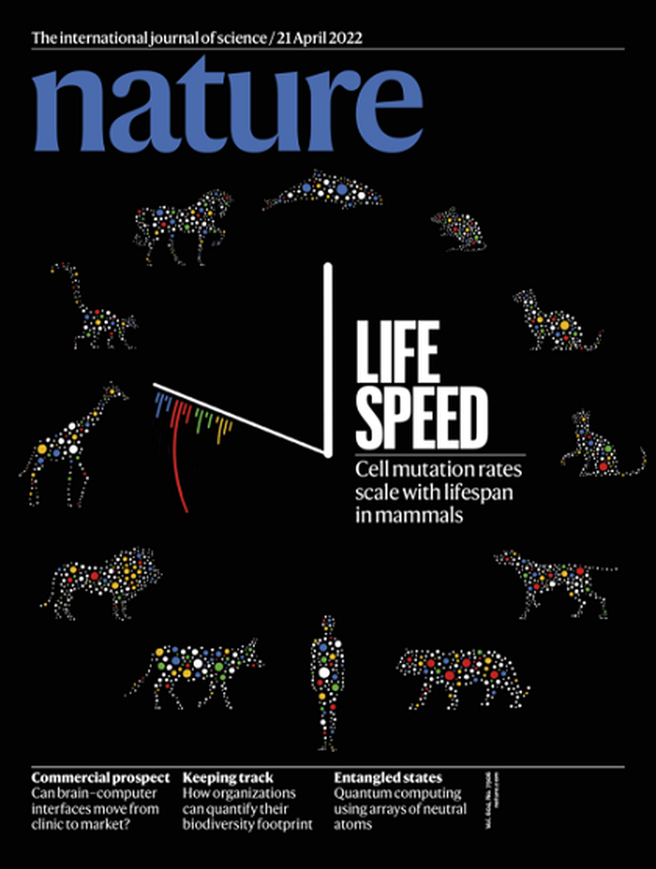SciNat за апрель 2022 #4: проект «Пангеном человека», пернатые птерозавры и отбор лососей
