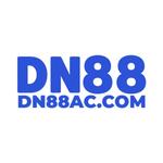dn8802 com