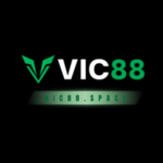 Nhà cái VIC88