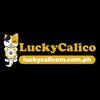 LuckyCalico Official