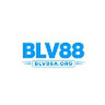 Blv88aorg Blv88aorg