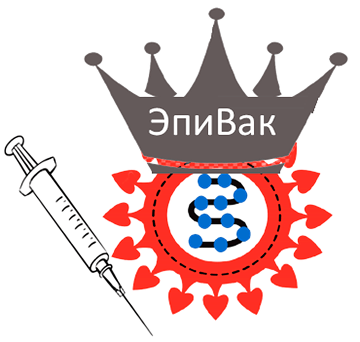 Проблема выбора пептидов для «ЭпиВакКороны» и разбор статьи разработчиков вакцины о клинических испытаниях первой и второй фаз
