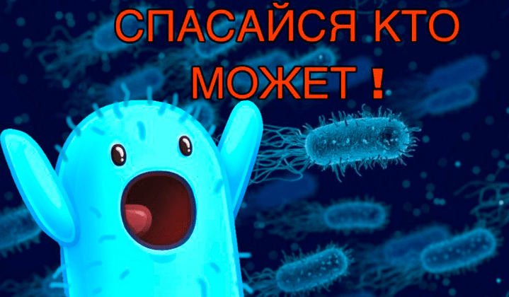 Спасайся кто может!