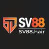 SV88