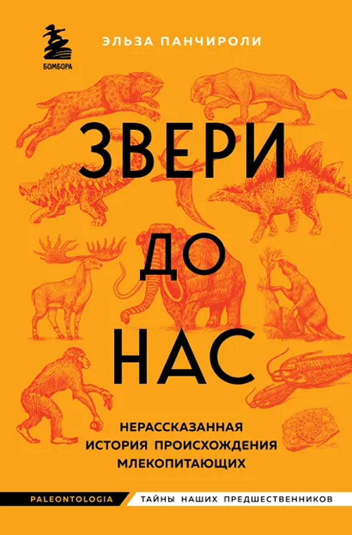 Эльза Панчироли: «Звери до нас: нерассказанная история происхождения млекопитающих». Рецензия