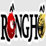 RONGHO99