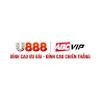 U888 Foundation