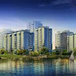 Purva Northern Lights