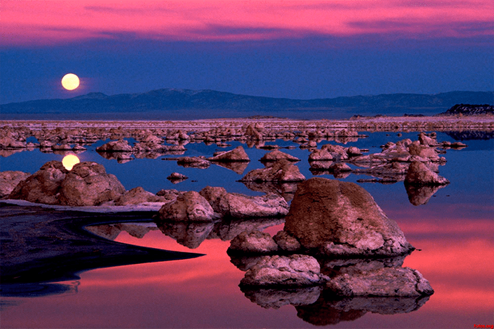 Почти детективная история о том, как элемент-убийца помог возникнуть жизни