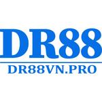 dr88 vnpro