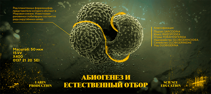 Абиогенез и естественный отбор