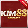 kim88 diy