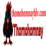 THOMOHOMNAY blv