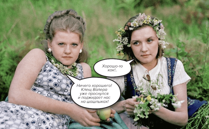 Клещевой энцефалит: как не заразиться болезнью строителей коммунизма и нужны ли прививки