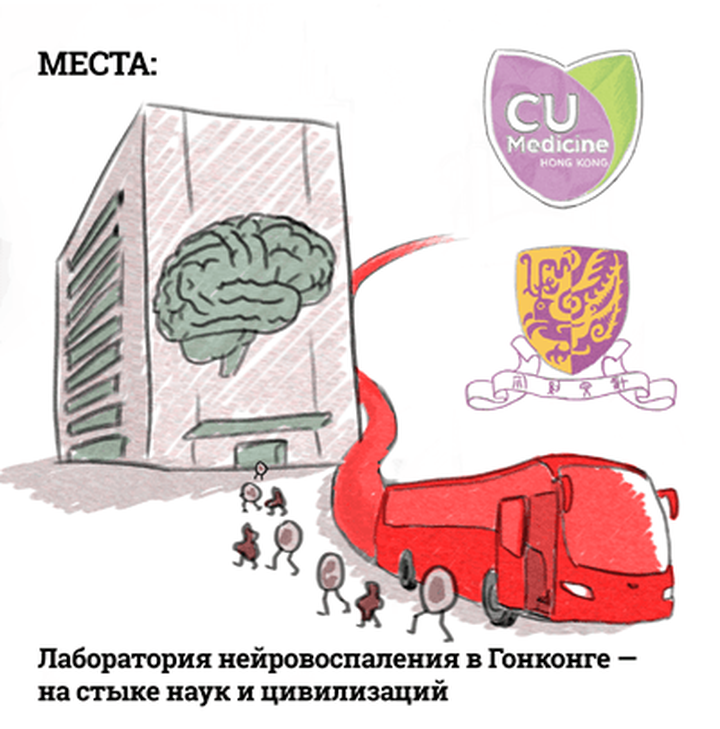 Лаборатория нейровоспаления в Гонконге — на стыке наук и цивилизаций