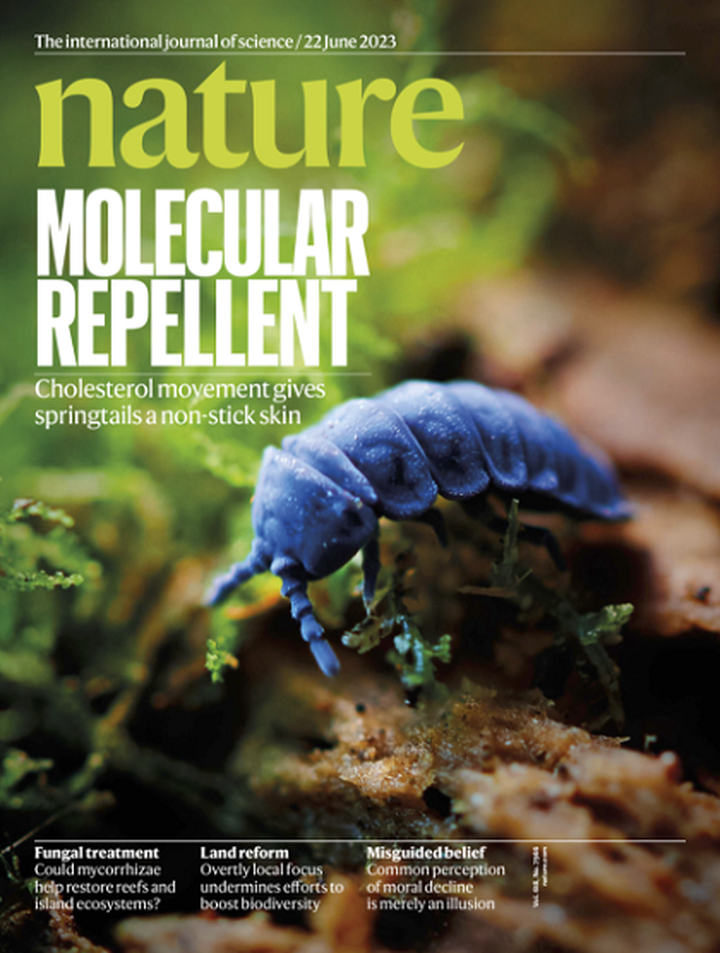 SciNat за июнь 2023 #4: грибы-восстановители, осьминоги-вдохновители и пересаженная почка крысы