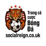 Trang cá cược bóng đá Reign