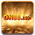 DN88