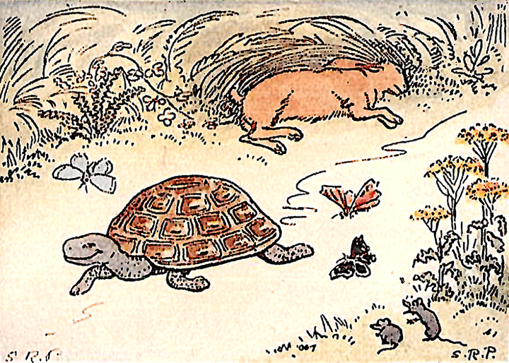 Эволюционное превосходство черепах