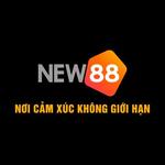 Nhà cái NEW88