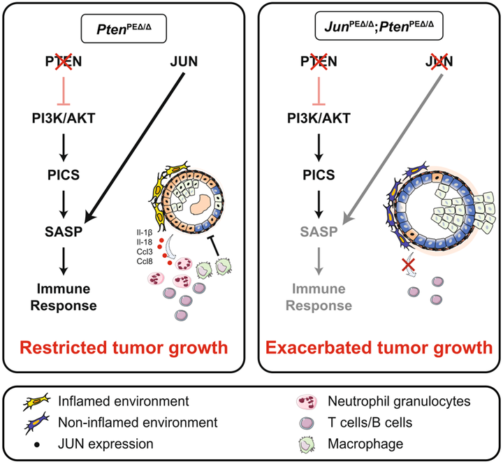Сломать нельзя чинить
