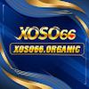 xoso66 organic