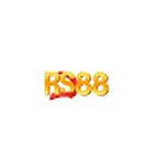 RS88 tech