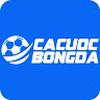 Cá Cược Bóng Đá