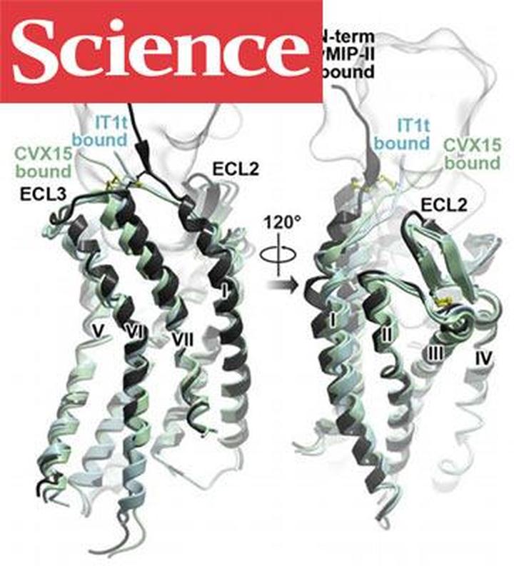 Science #347(6220): бессимптомные болезни, протеомный атлас и еще один GPCR-рецептор