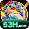 53H