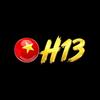 H13L COM