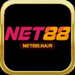 Net88 hair