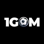 1GOM36 IO